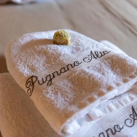 Alloggio per agriturismo Pugnano Alto - Tabacco